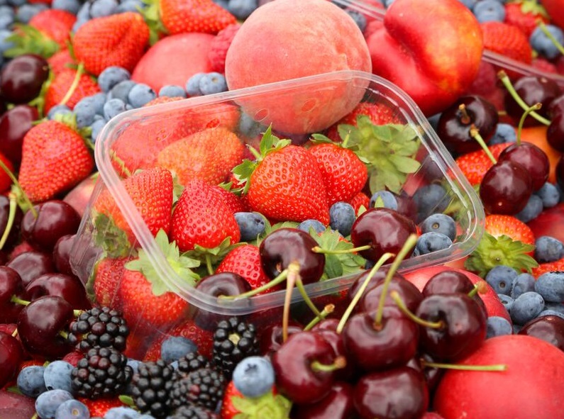Jon Day, event director at Haymarket Exhibitions, said the numbers showed Fruit Focus was becoming an increasingly important venue for growers