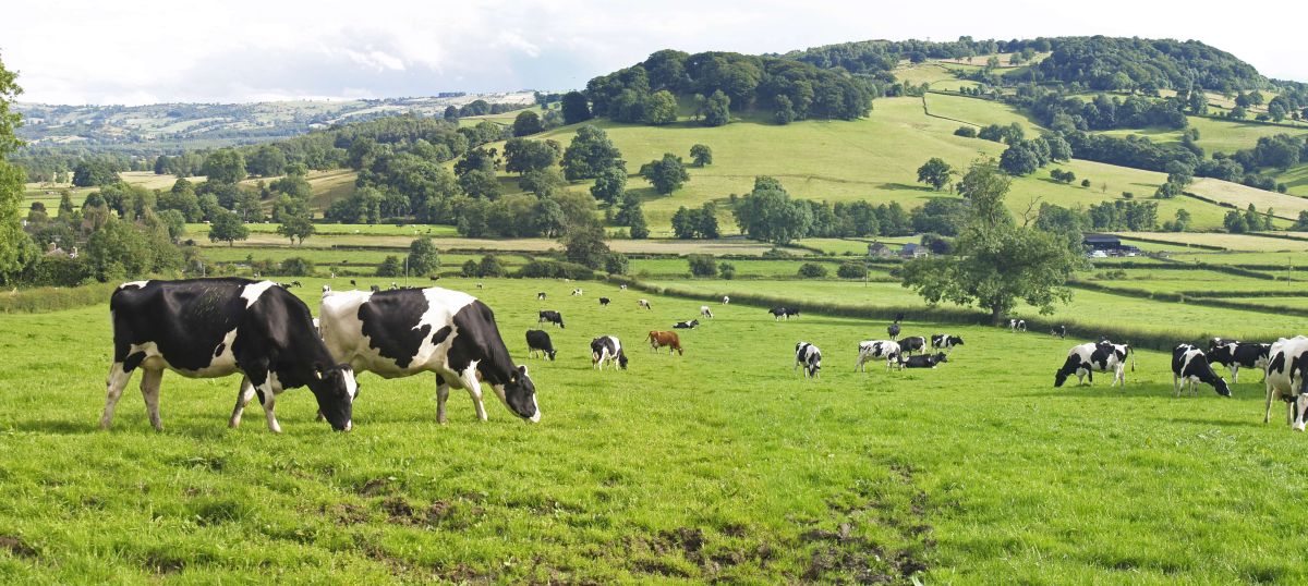 The grants totalling £4.7M were funded in the first round of the Sustainable Agriculture Research and Innovation Club (SARIC)