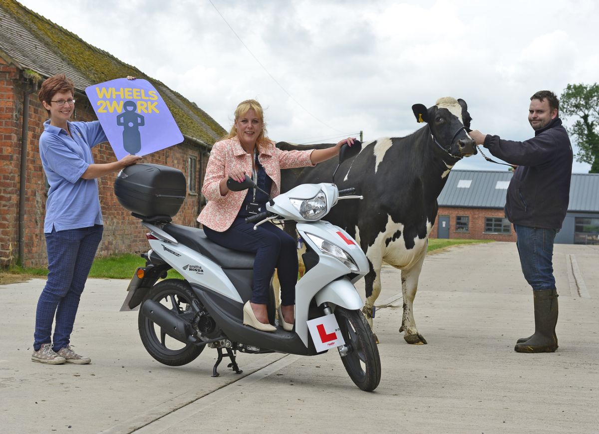 L to R: Davina Allen, Manager of Wheels 2 Work, Catriona Learmont, Mixed Heritage Skills Programme Coordinator, Bambi the Cow and Alex Beeston, Walford Campus’ Herd Manager