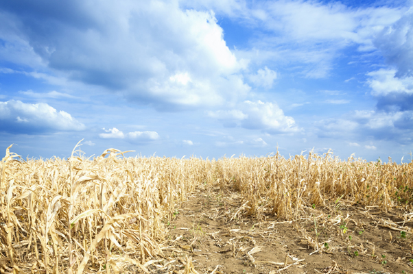 NFU national water resources specialist, has welcomed the Agency’s new drought framework