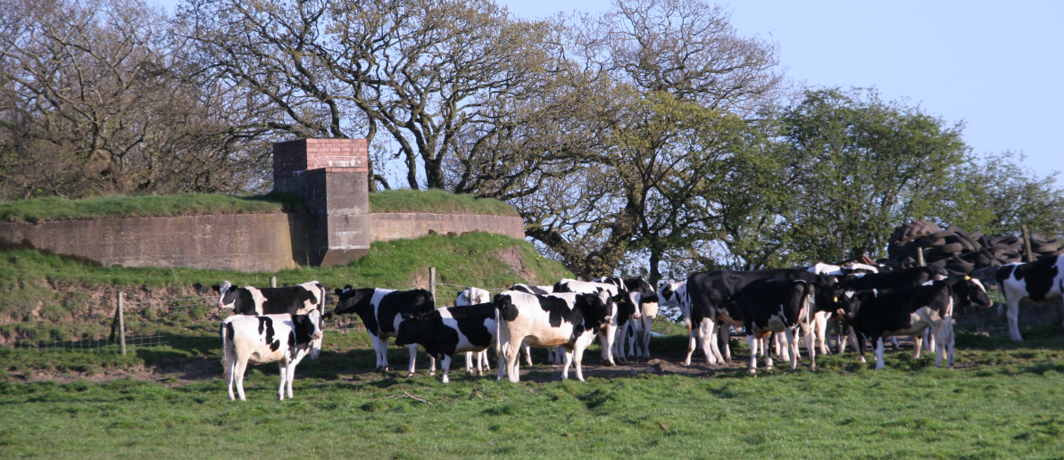 Currently, 7 regulators carry out over 125,000 farm inspections every year