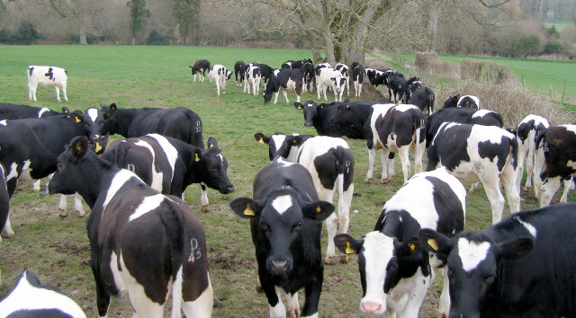 Following the meeting, NFU Scotland’s President Allan Bowie commented: “We understand the difficulties facing Graham’s the Family Dairy, but also the industry as a whole at present."