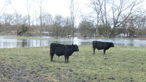 “We know the poor weather is affecting livestock but also crops too, and to those farmers this is of equal concern."