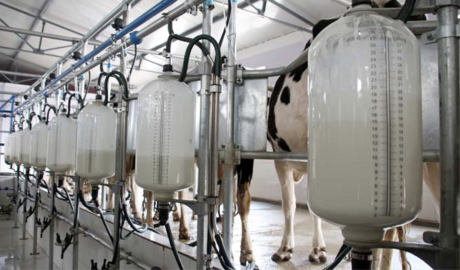 The farmers argue the prices Morrisons pay for their milk is far too low. Michael Sadwick, who led one protest in Bude, described Morrisons as "one of the main culprits we've been told to target".