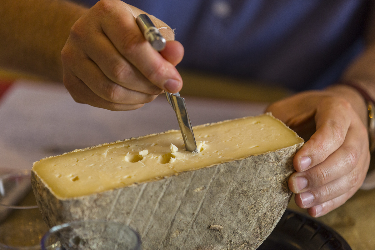 Tasting 3 star cheese
