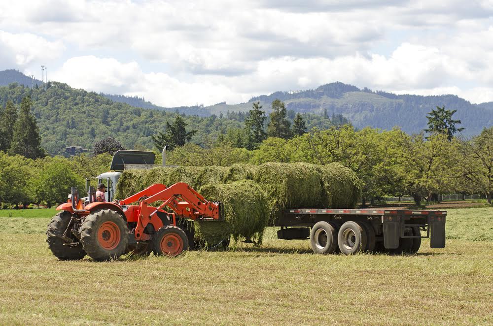 “Taking precautions to minimise downtime during harvest time is essential and servicing your radio-controlled unit should form part of regular maintenance procedures"