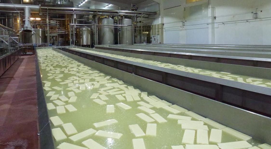 OMSCo’s latest export initiative has led to a partnership with privately owned and independent cheese producer Dairy Partners, to produce organic mozzarella for the USA market