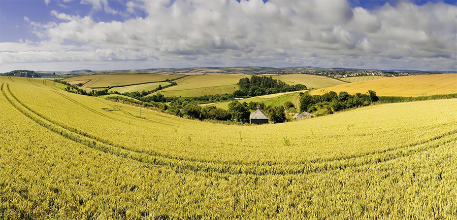 The Cabinet Secretary said “Scotland is known around the world for our beautiful natural environment - and banning growing genetically modified crops will protect and further enhance our clean, green status.