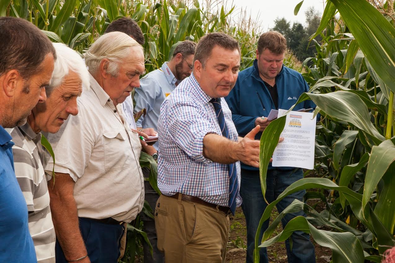 Farmers with agronomist