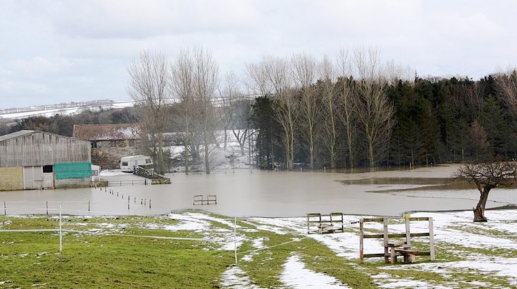 Speaking ahead of a visit to Lairg Lamb Sales, Mr Lochhead said: “I am aware that the unseasonably wet weather we have been experiencing is having an impact on farmers and crofters across a number of parts of Scotland."