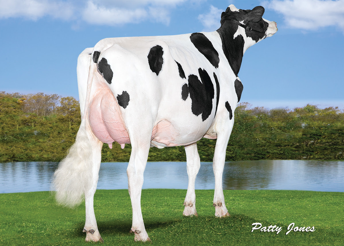 McCutchen daughter: Walnutlawn McCutchen Summer