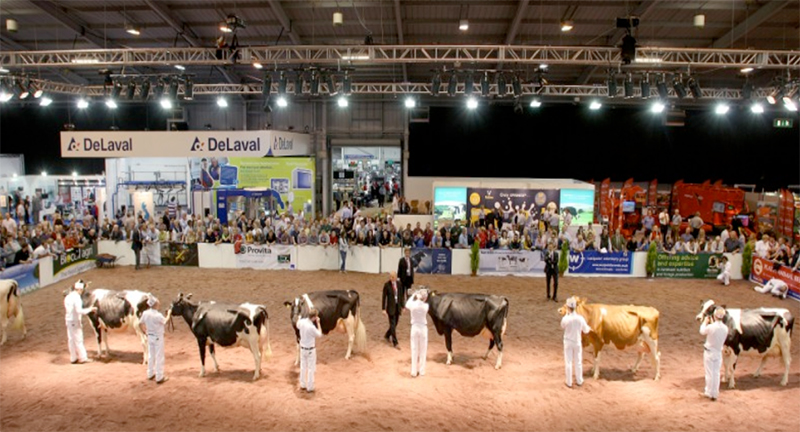 This selection of the very best cattle will be judged by an esteemed panel of judges, including Nico Bons, John Suffern and Mark Logan.