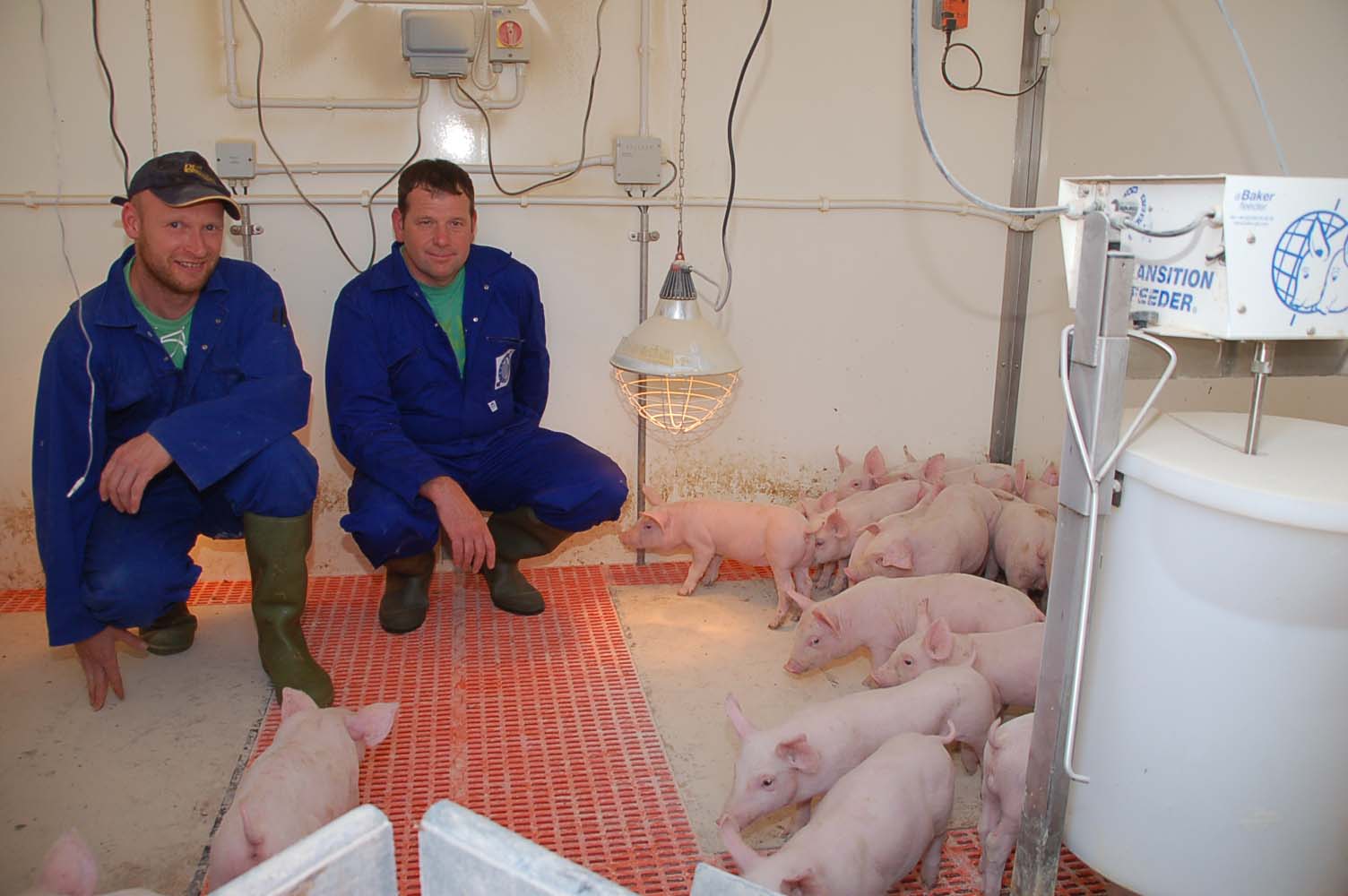 Rattlerow Farms’ farrowing house manager, Jamie Brown (left) and unit manager, Adrian Scarfe, in the nursery where pigs are thriving. It has improved returns by over £79,000.