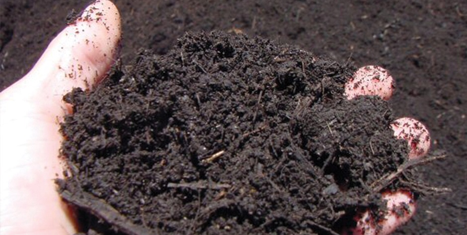 Make the most of manure, farmers are told