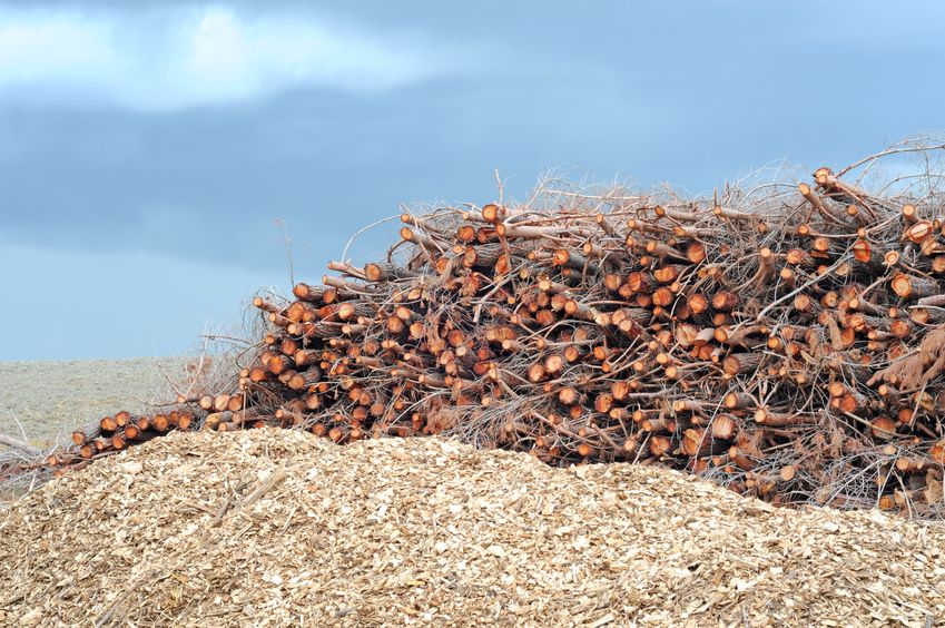 demand for paper is expected to increase by between 2-12% annually