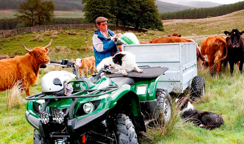 There were 800 ATV theft claims in 2014