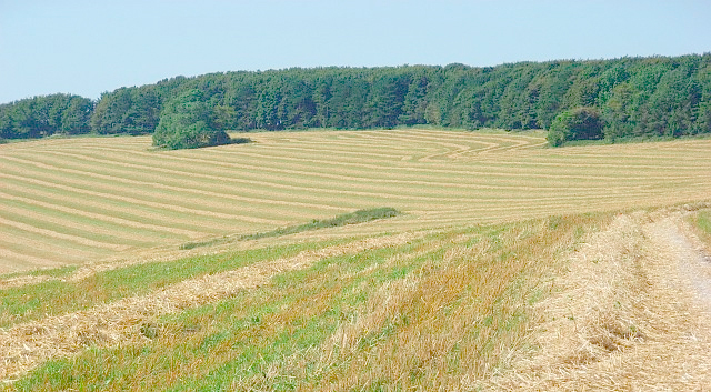 UK agriculture has to be smarter and have the ability to look at the long term.