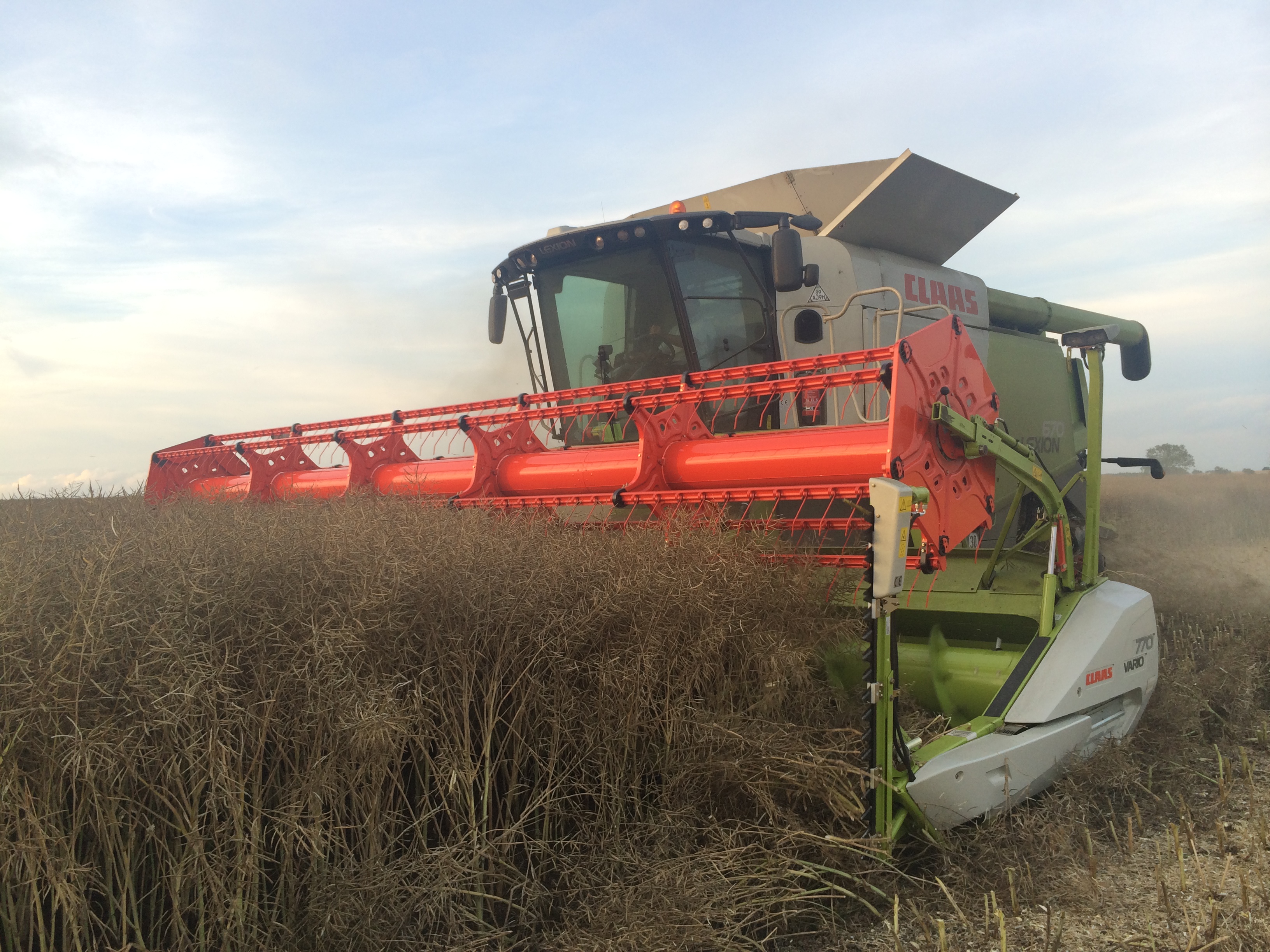 The national average oilseed rape yield consistently runs at under 4t/ha.