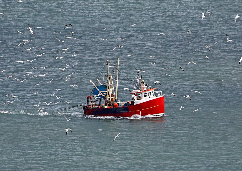 Results from the research suggest trawling deeper causes greater damage for a reducing benefit to fishermen.