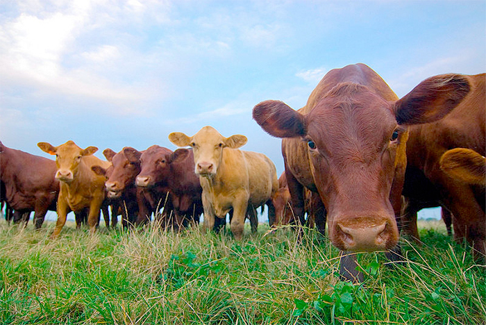 “I would urge farmers to make sure applications for these new schemes, which are worth around £38.8 million in total."