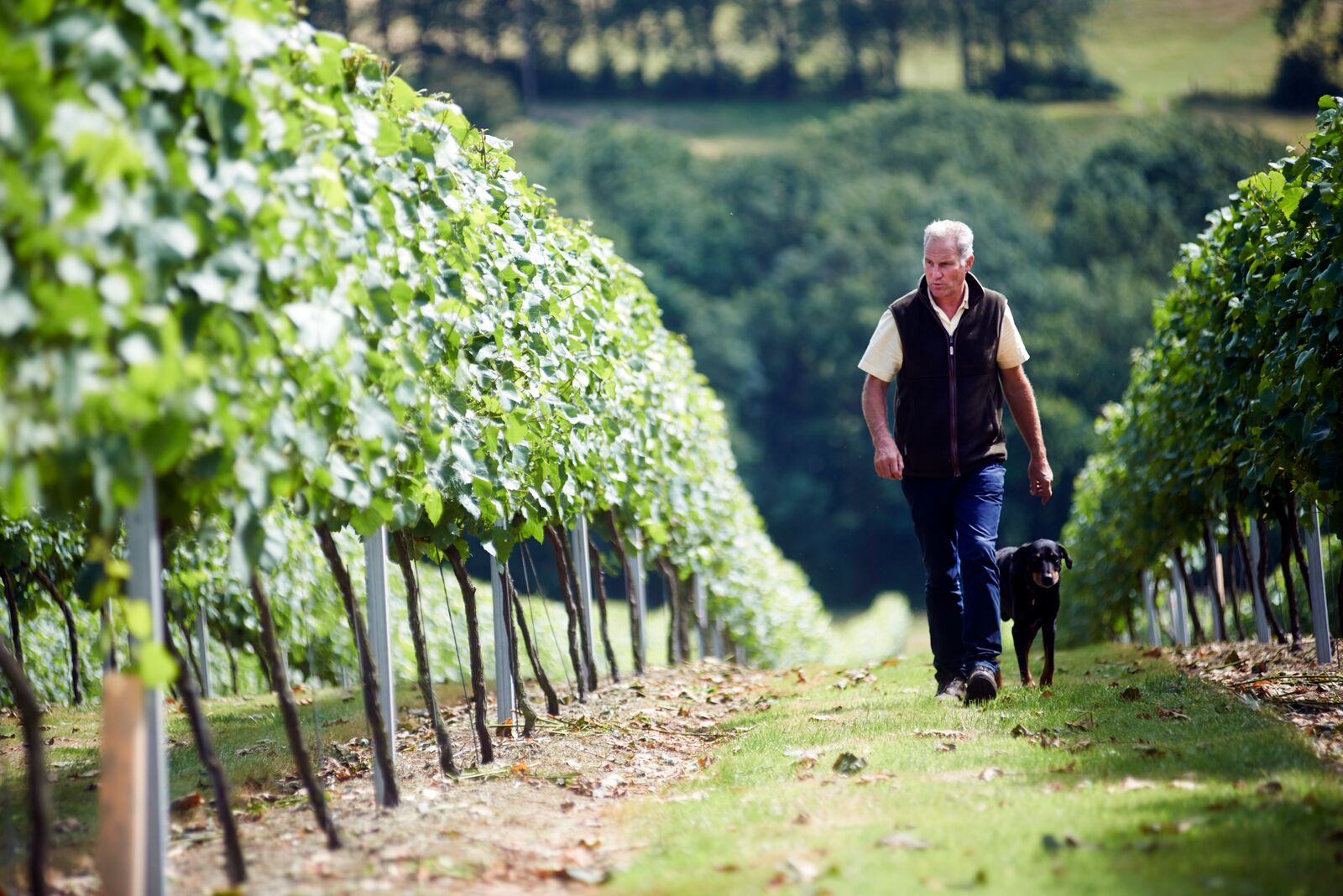 Charles Palmer Vineyards was crowned drinks winner