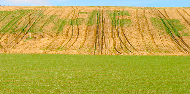 The biggest source of food-related greenhouse gas (GHG) emissions occur before produce leaves the farm gate
