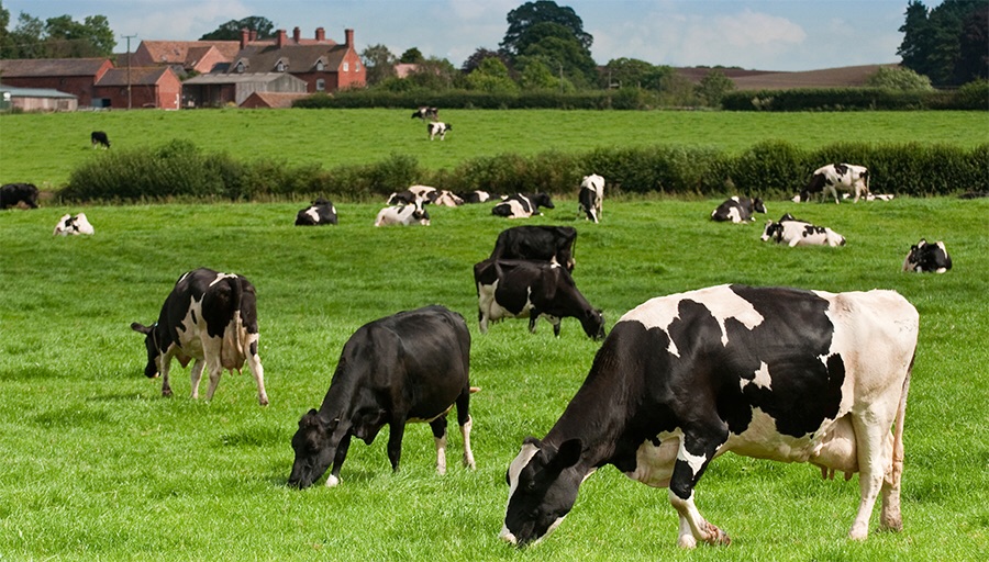 The UFU says other sectors also facing tough times have been largely ignored.