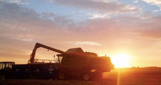 Sustainability must be at the core of food production and consumption if true food security is to be established, the report finds