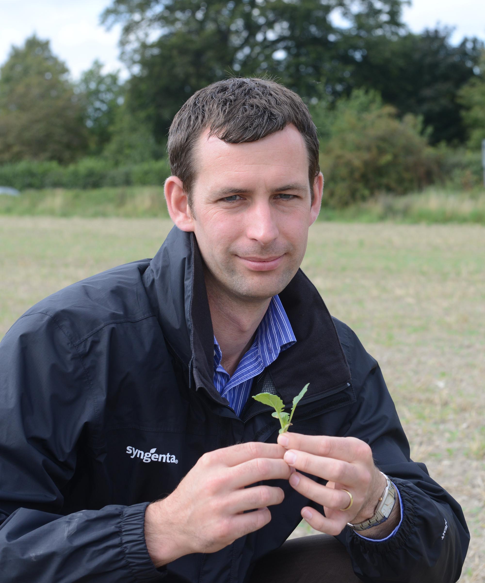 Late sown OSR can not afford any check in growth before the winter, warns James Southgate