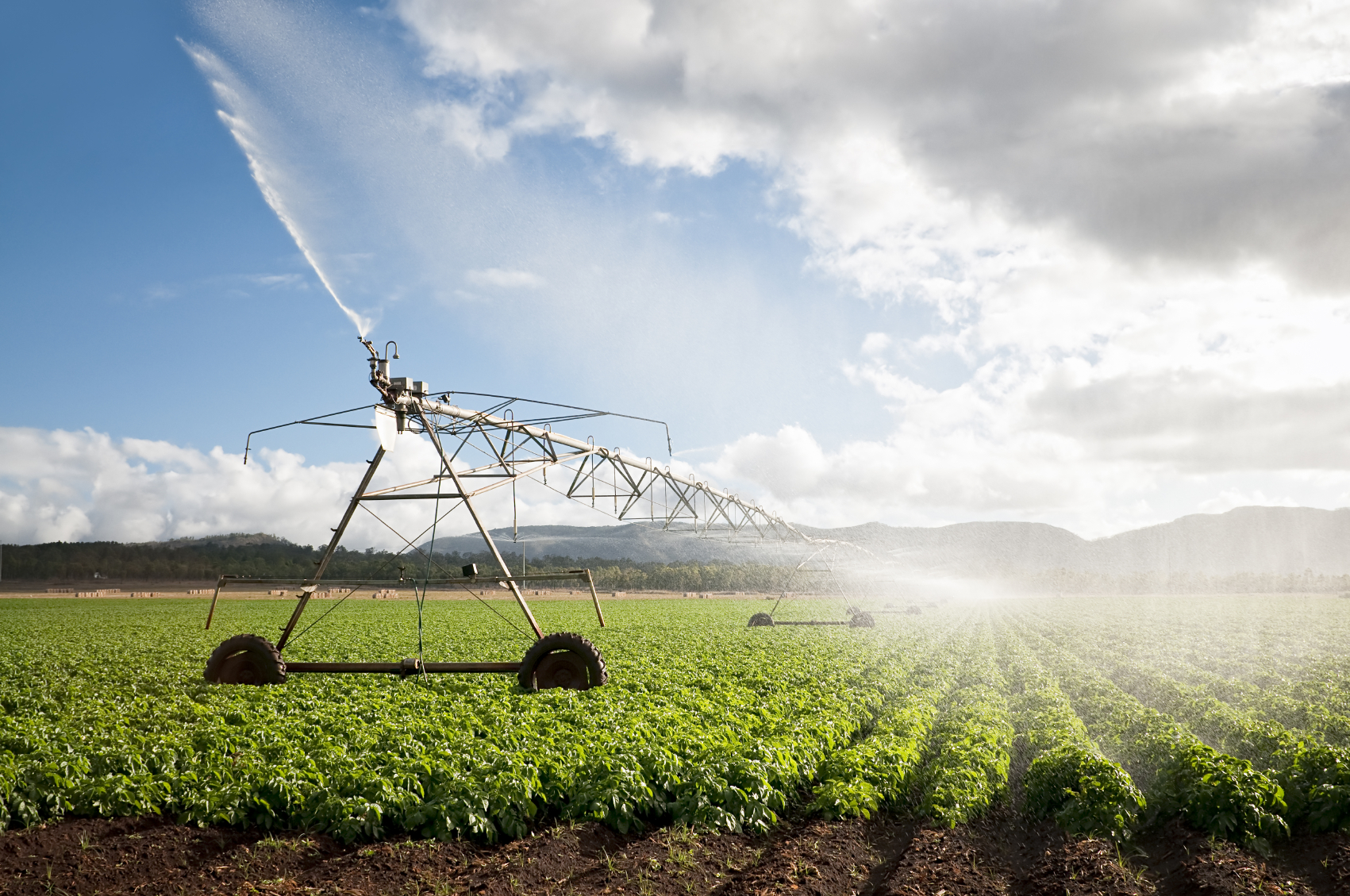 A recent NFU survey found that farmers are using water more wisely