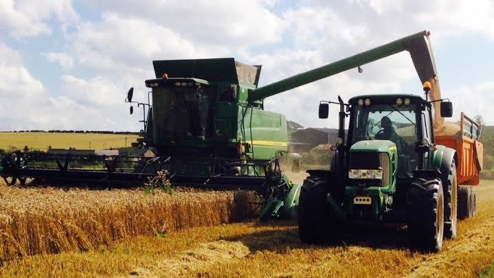 The 9ha field of Revelation was drilled at 220kg/ha at the beginning of October, following two years of white clover