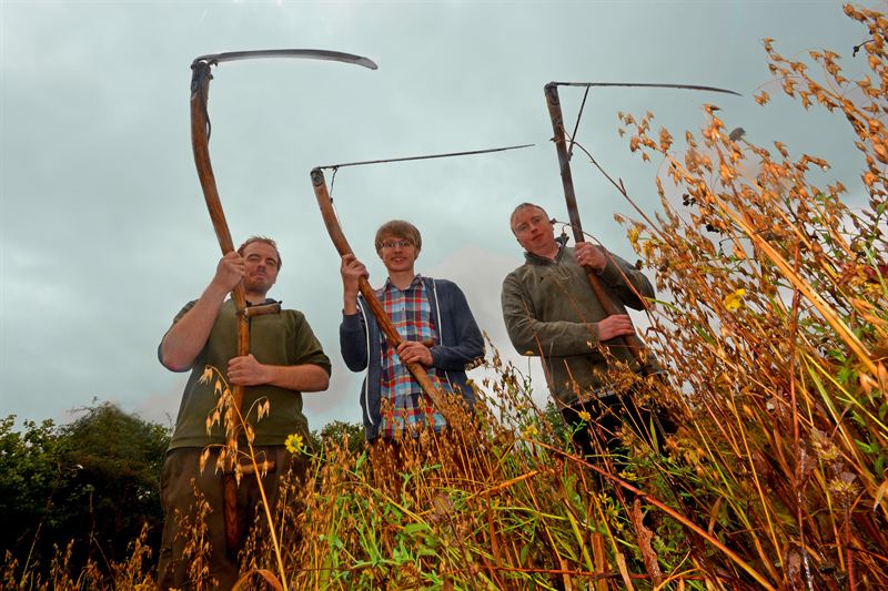Tom Normandale, cornfield project officer (right) with volunteers Roy McGhie (left) and Sam Witham