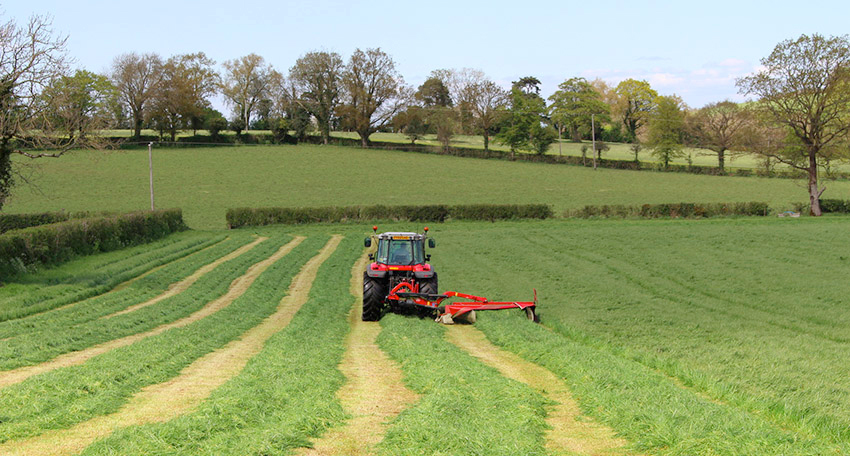 Dual use is the practice where, on the same parcel of land, there are different claimants for agri-environment schemes and Basic Payment Scheme