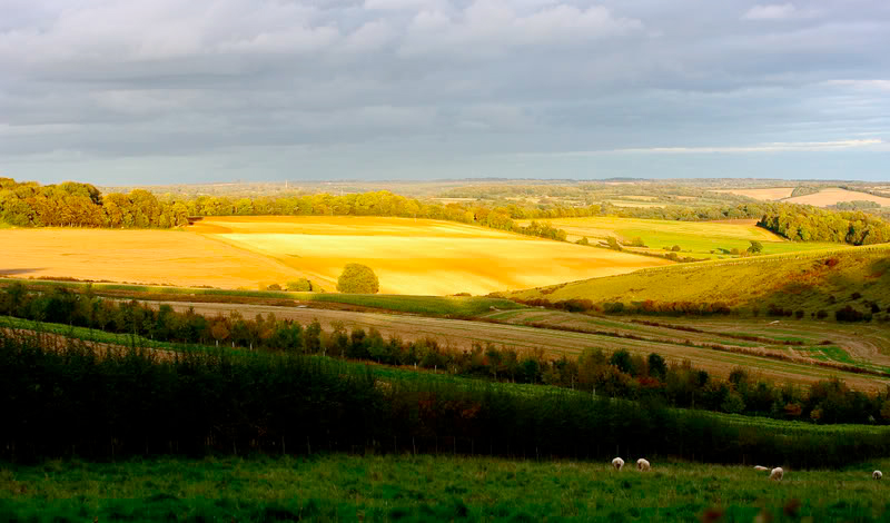 CLA Director of Policy and Advice Christopher Price said: “The dual use system is fundamental to sustaining important agri-environment schemes"