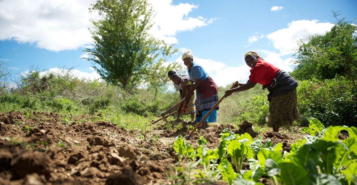 World Gifts features more than 30 inspiring and unique presents - including fantastic farming gifts - that will not only raise a smile on Christmas Day but will also make a lasting difference to people living in poverty in developing countries