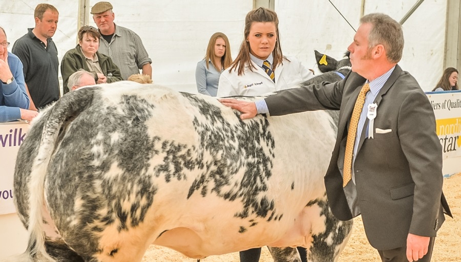 NBA Beef Expo is a celebration of all things British beef has to offer