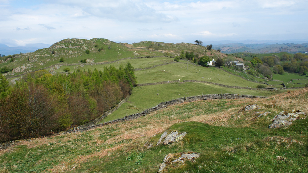 Natural Capital Committee - the independent advisory body set up to advise the Government on the sustainable use of England's natural capital - forests, rivers, atmosphere, land, wildlife, oceans