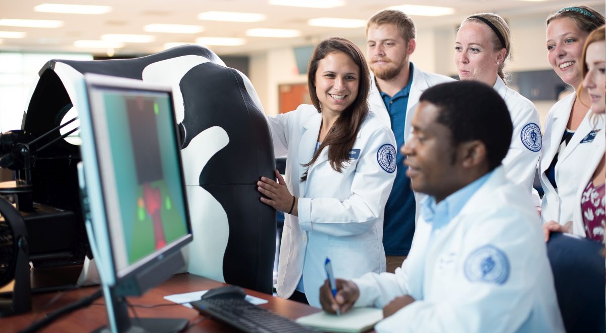 Haptics, or force feedback, technology lies at the core of The Haptic Cow to create a virtual bovine reproductive tract, positioned within a seemingly empty fibreglass model of the rear half of a cow