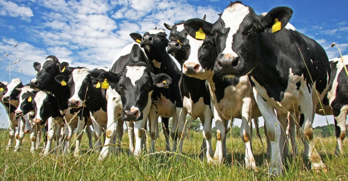 In Scotland, Rural Affairs Secretary says Scotland's share is disappointing
