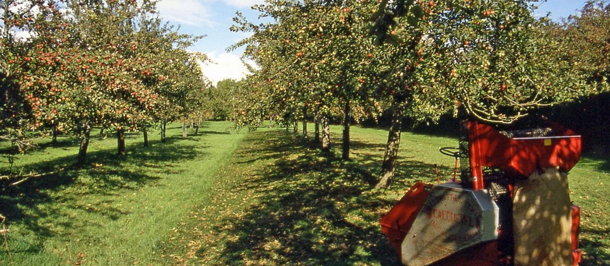 Morrisons move follows nation-wide customer feedback. It found 95 per cent of shoppers want to support British produce growers