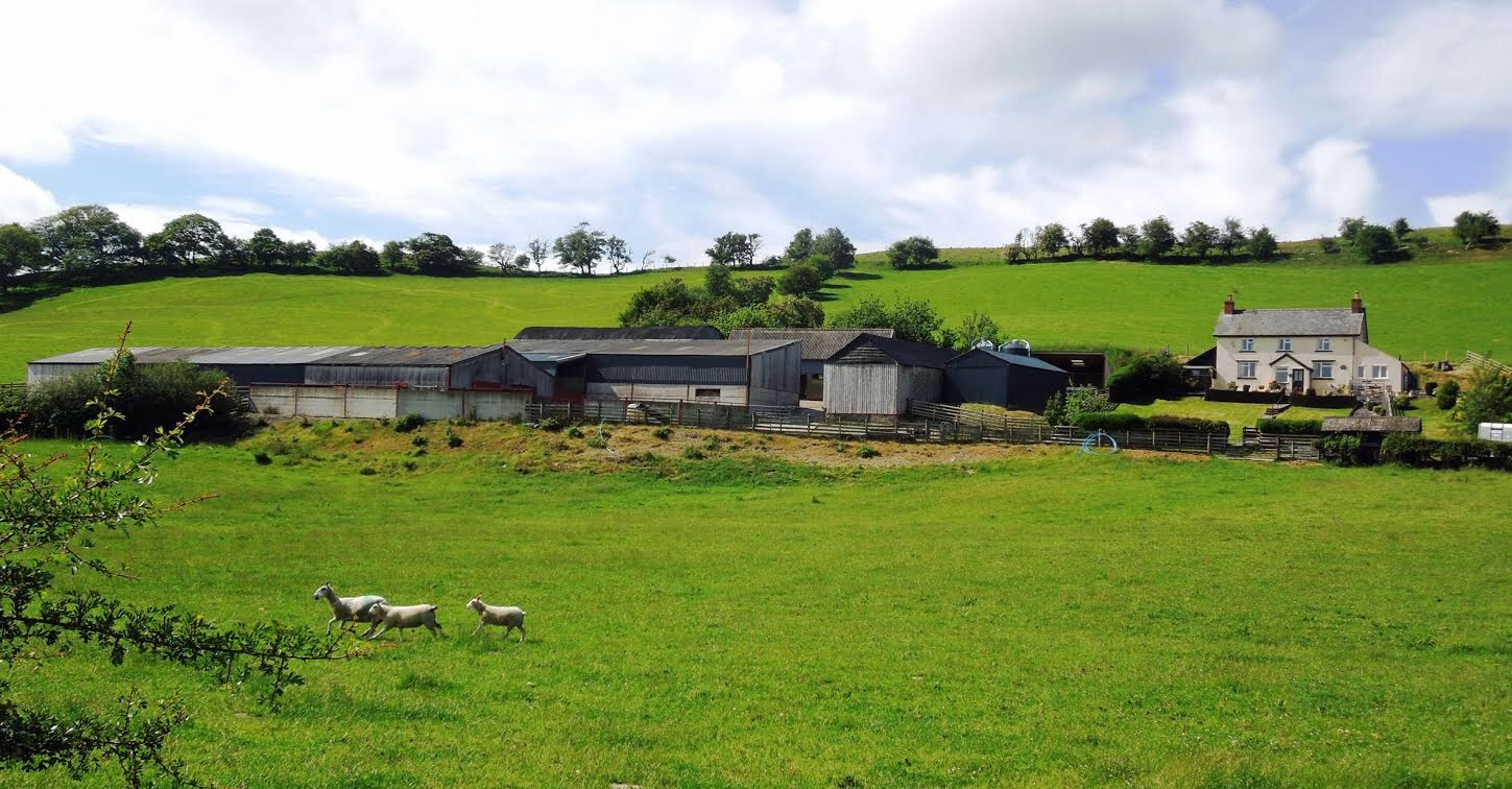 The consultation explores the potential for simpler, more integrated, legislation on access to the outdoors and public rights of way and sets out a series of options for consideration