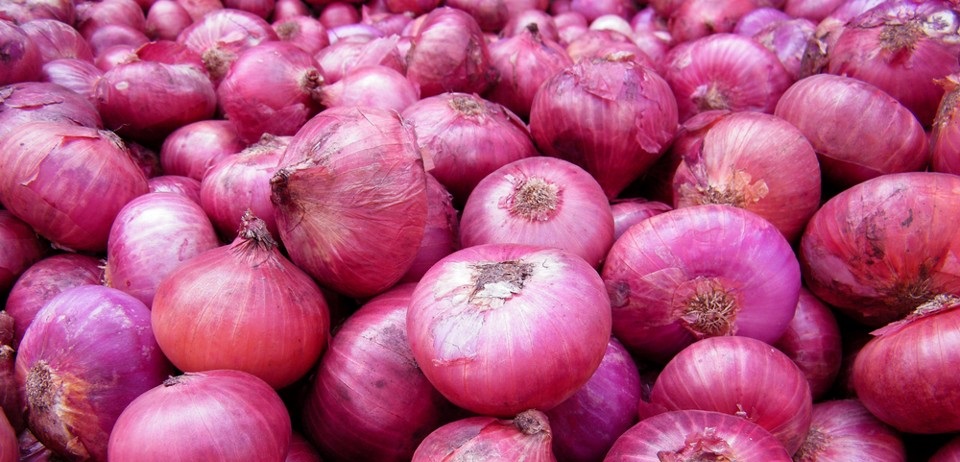 Visiting a large onion grower in Norfolk, the programme learnt that every one of the 290 million onions grown every year on this farm goes through quality control, where they are literally held against a specification sent from the retailer