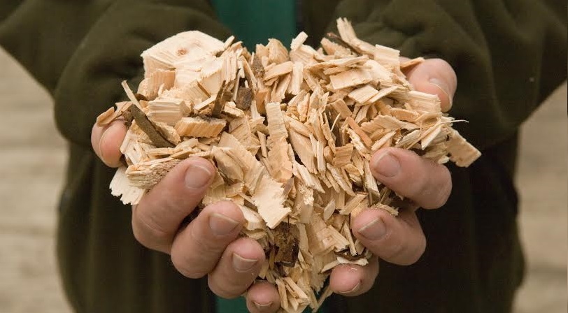 To help land owners realise the full potential of their woodland and access support, the Forestry Commission has launched the ‘Making Woodlands Work’ campaign