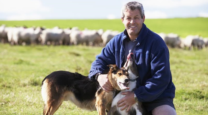 A faithful hound is often a vital member of the family for those living and working on a farm