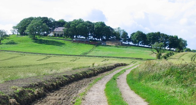 The CoR – the EU's assembly of local and regional authorities – was reacting to EC proposals that aim to create a simpler CAP to support Europe's agricultural sector at a time when many farmers have been hit by tumbling prices