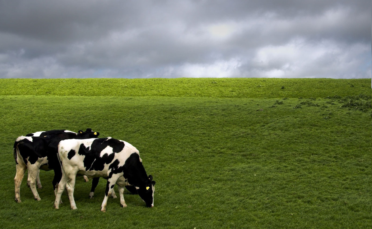 In the UK alone dairy products are present in 98% of households, but the industry has to continue to work harder to promote the nutritional benefits of dairy