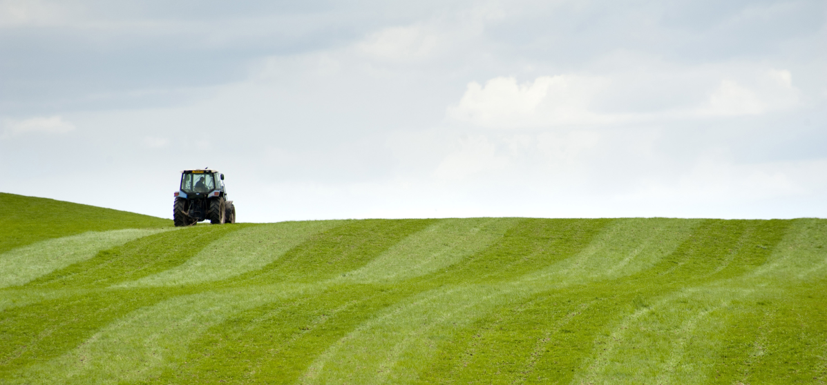 While farming and forestry remain central to rural economies, EU rural development policy also focuses on revitalising rural areas through vocational education, training and knowledge transfer