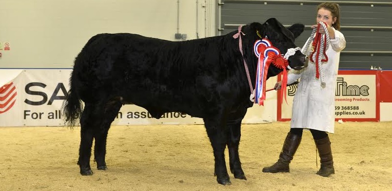 Now in its ninth year, the event is Harrison & Hetherington’s flagship event, and will be held at the Borderway Mart in Carlisle on Friday 30th October