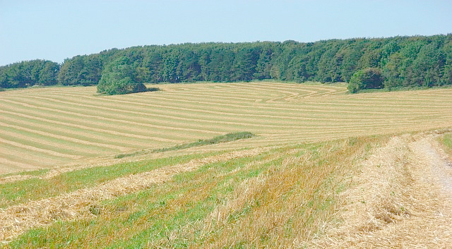 25% of agricultural workers surveyed would be concerned about competitors taking advantage if they were unable to work. 21% of farm workers, compared to an average 8% across other industries, fear being dismissed when off work for sickness or injury