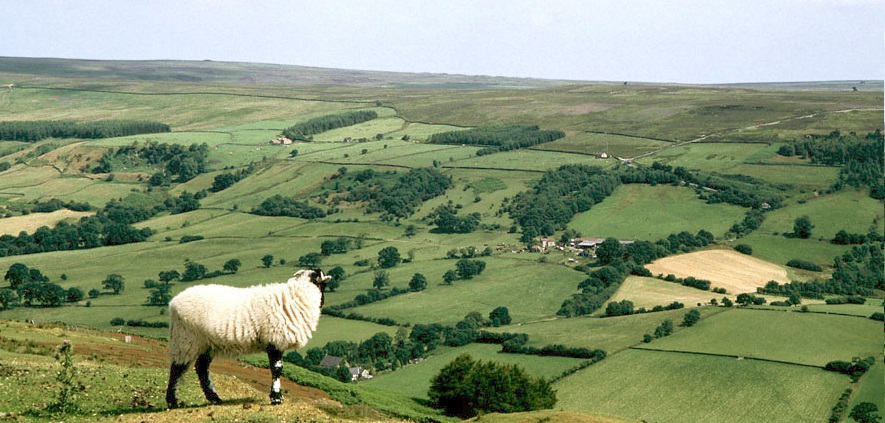 The project, which produces potash, is situated in the North York Moors National Park and will reportedly create the UK’s first new mine in the past 45 years